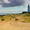 Land zwischen Belt und Bodden Thumbnail