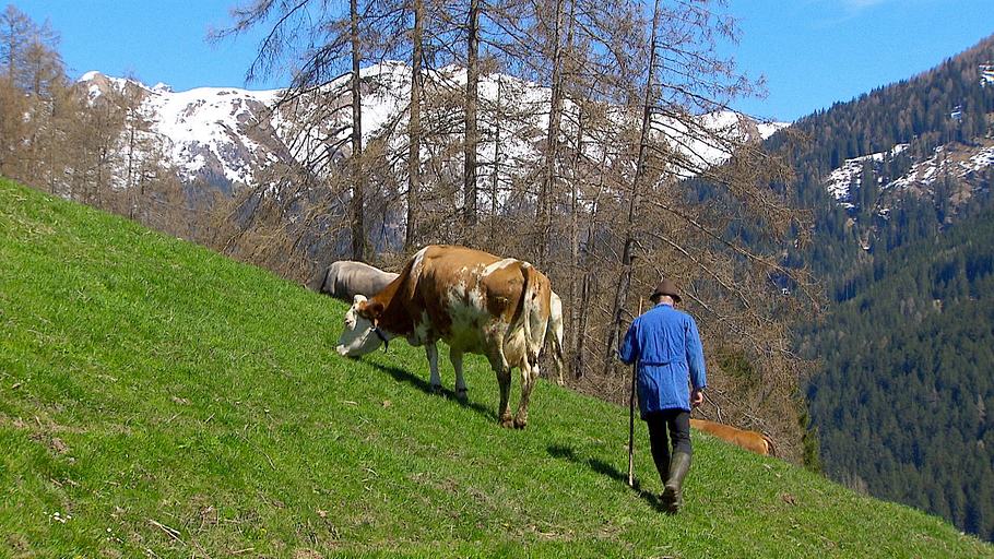 österreich-bild