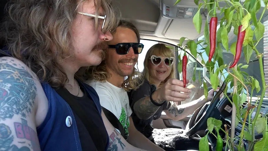 Von Hecke zu Hecke - Bunte Beetgeschichten von hecke zu hecke - bunte beetgeschichten