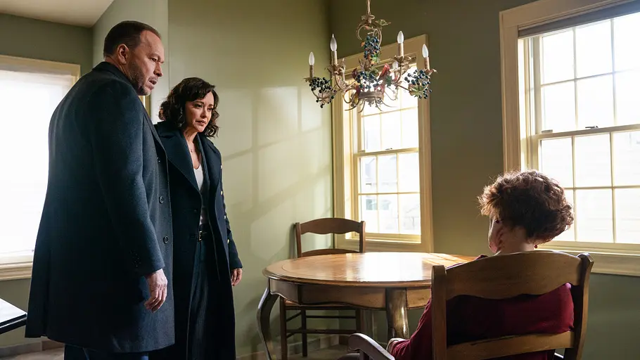blue bloods - crime scene new york