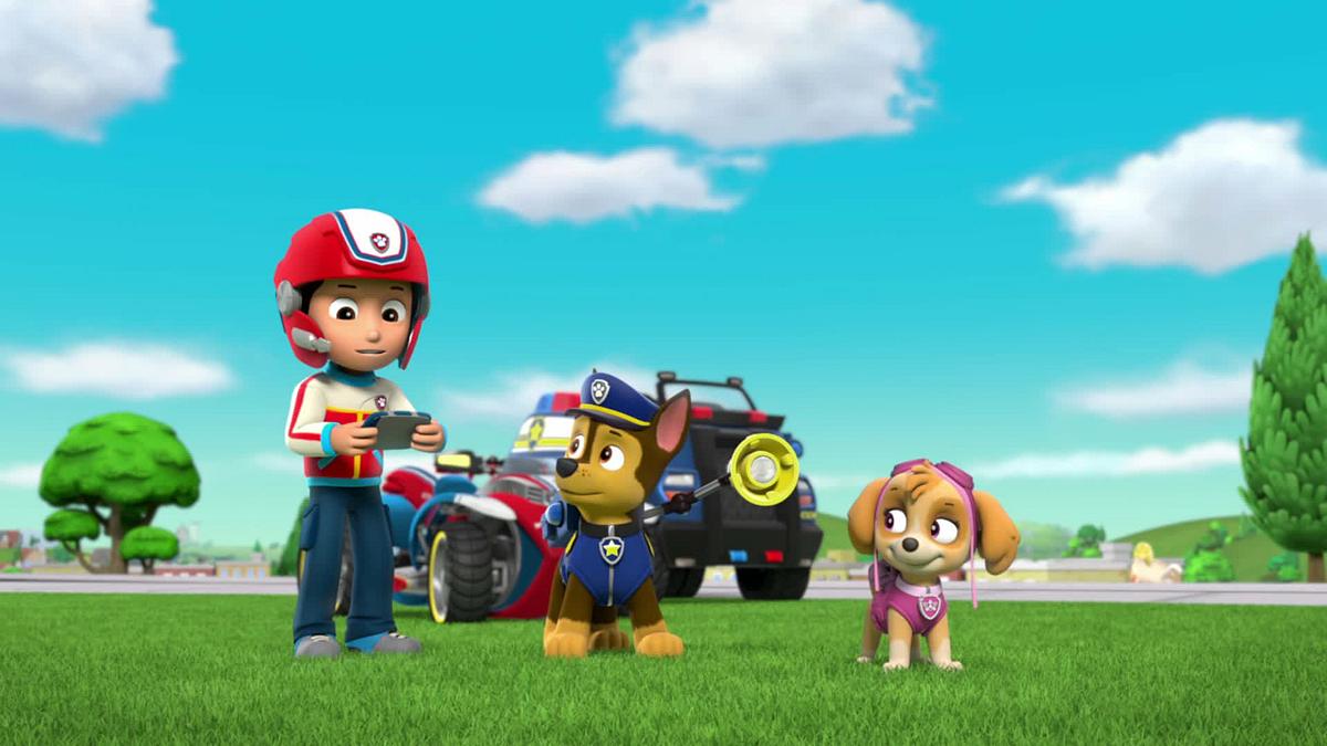 paw patrol - helfer auf vier pfoten
