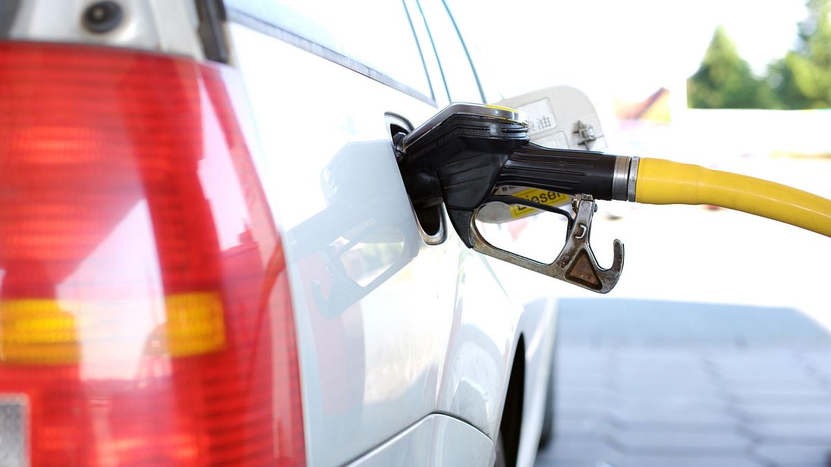 die biodiesel-revolution