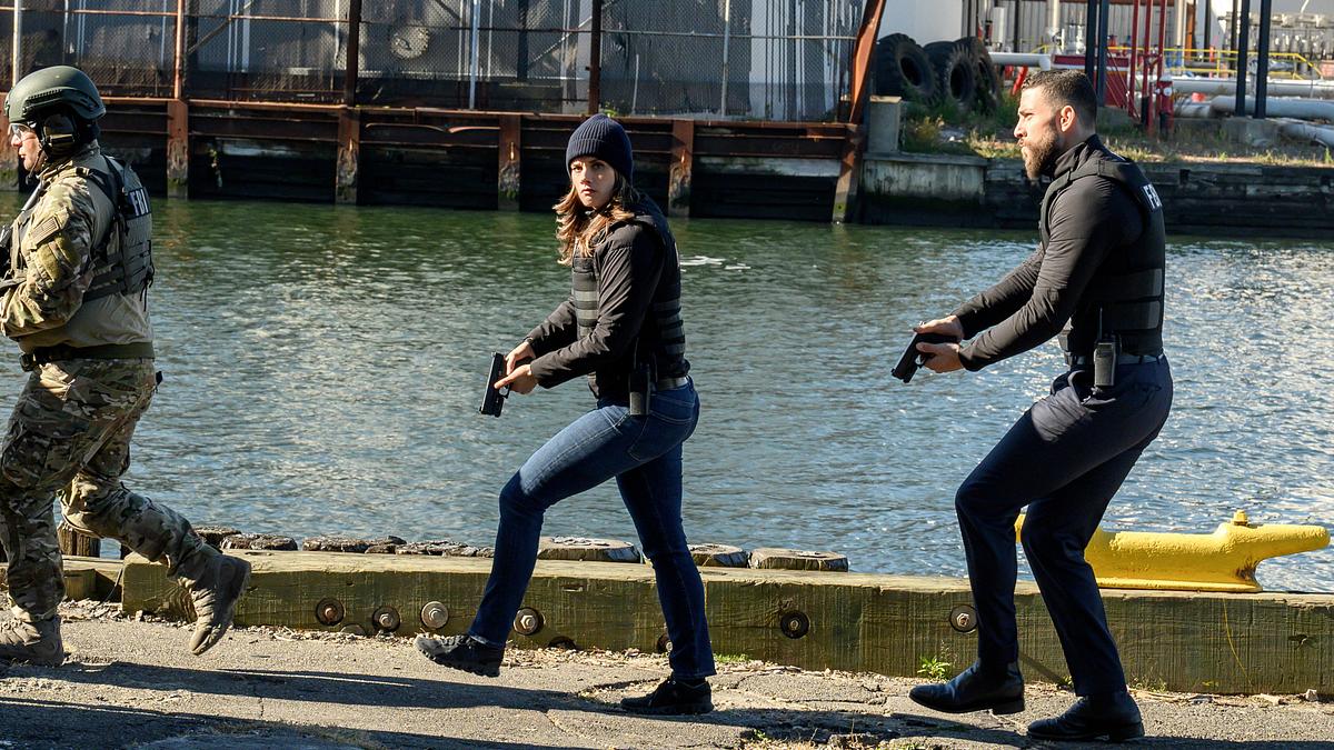 fbi: special crime unit