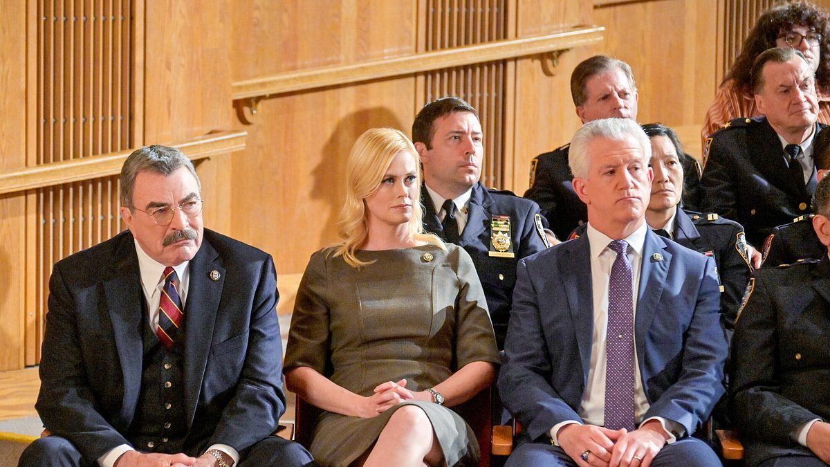 blue bloods - crime scene new york