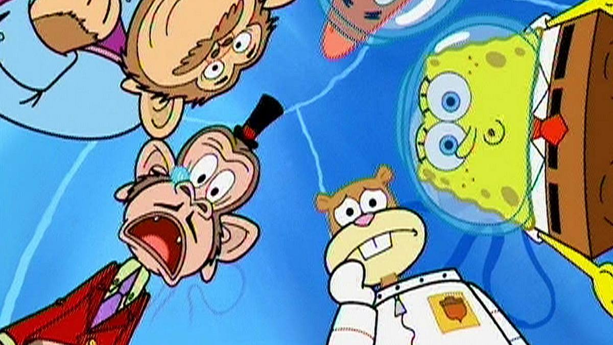 spongebob schwammkopf