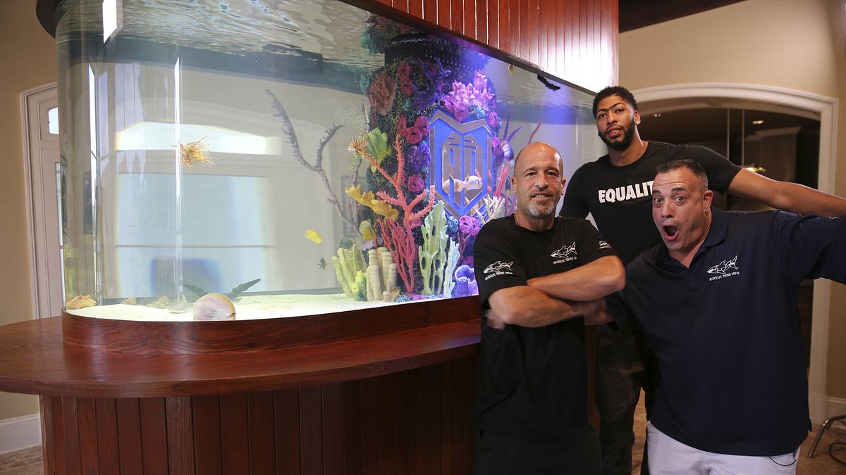Die Aquarium-Profis die aquarium-profis