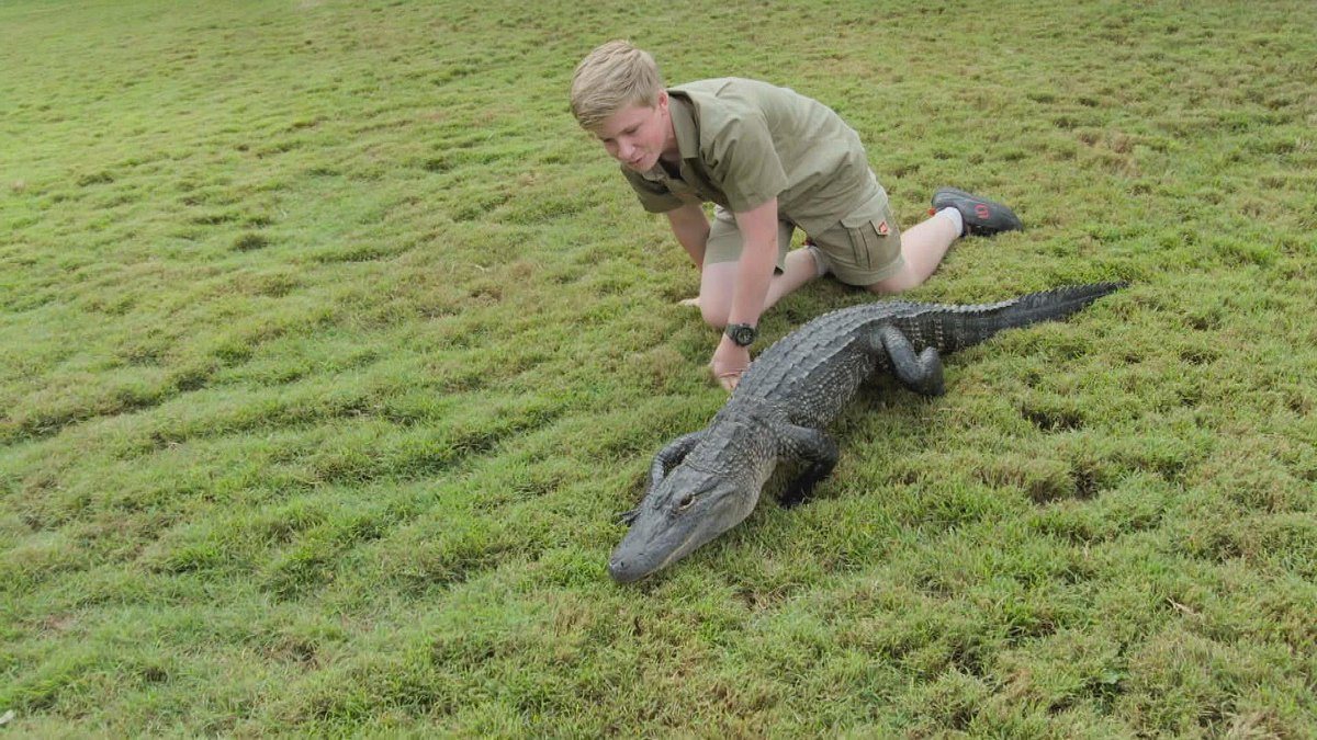 die irwins - crocodile hunter family