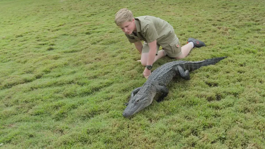 die irwins - crocodile hunter family