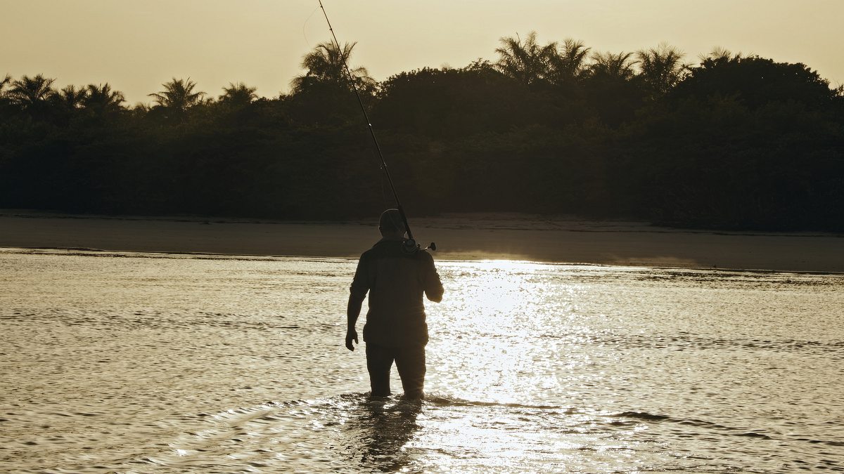 giganten unter wasser - riesenfischen auf der spur