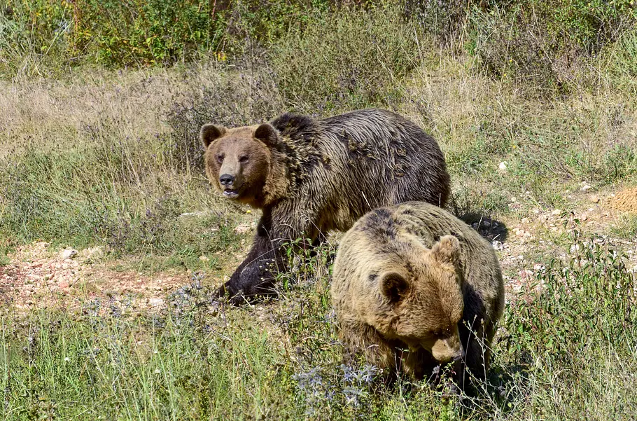 Der Apennin - Italiens Naturparadies der apennin - italiens naturparadies