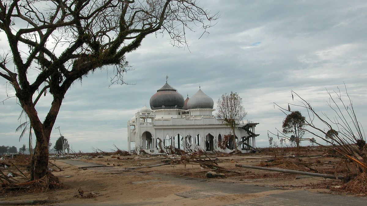 tsunami: wettlauf gegen die zeit