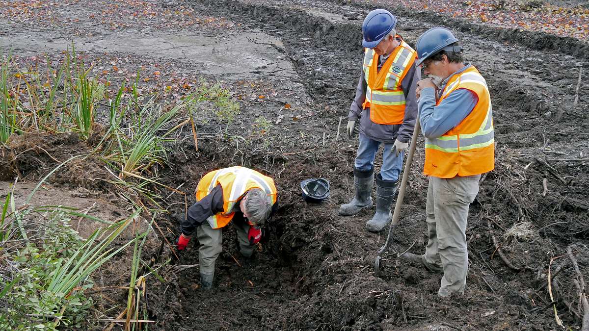 oak island - fluch und legende