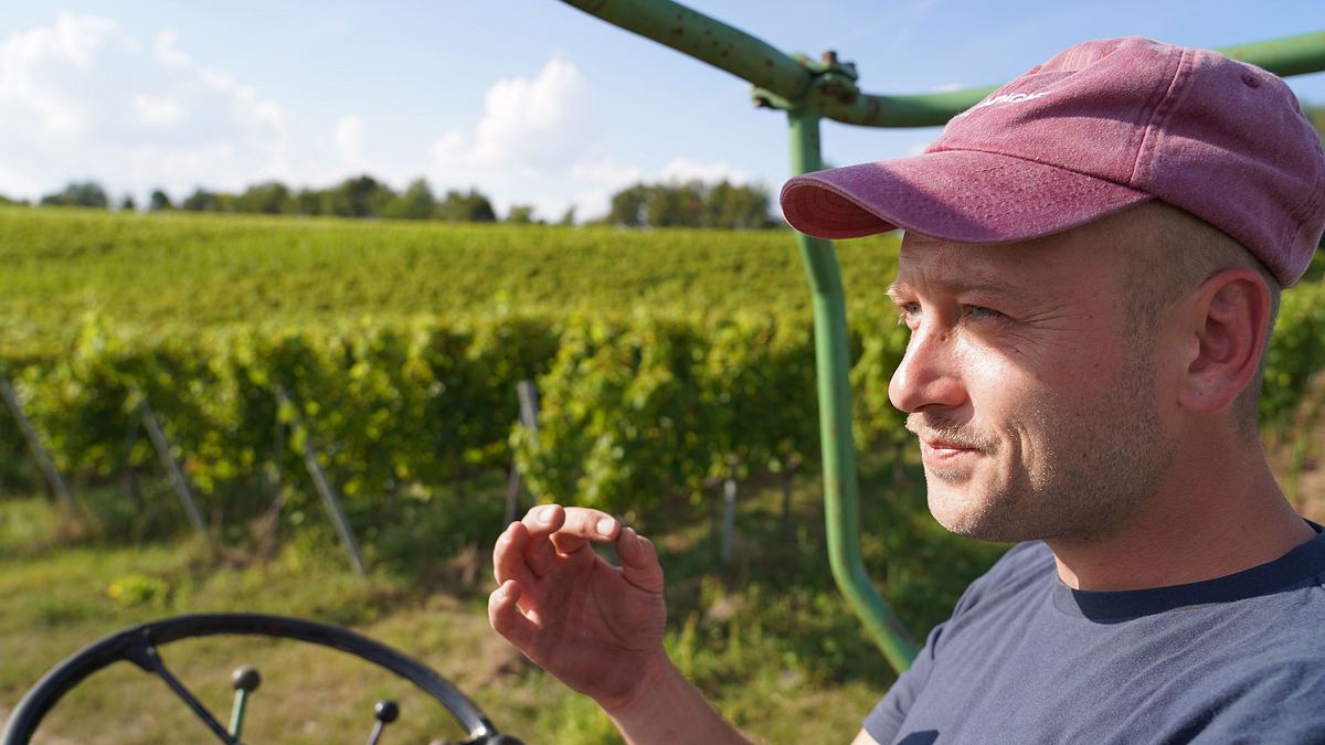lust aufs land - bayerische hofgeschichten