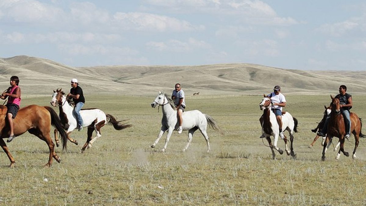 amerikas wilder westen