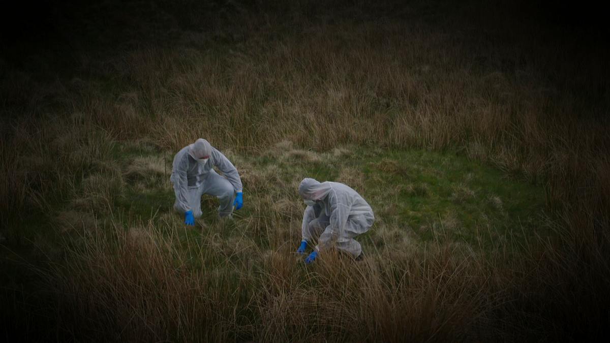 expert witness - forensiker auf spurensuche