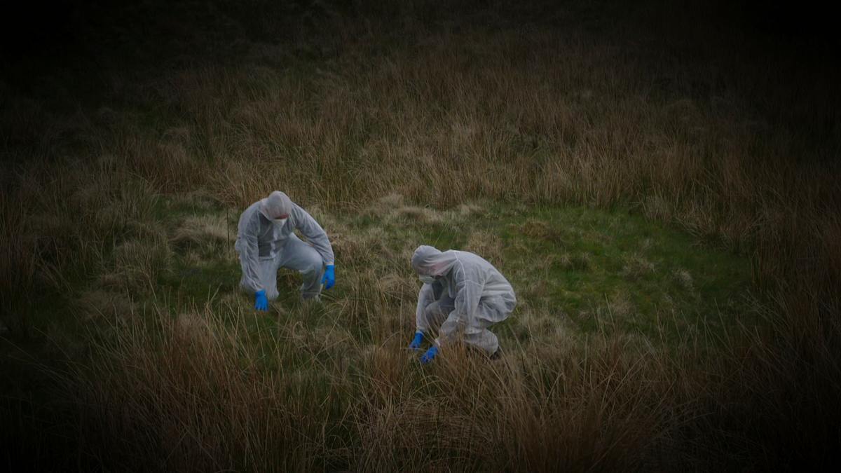 expert witness - forensiker auf spurensuche