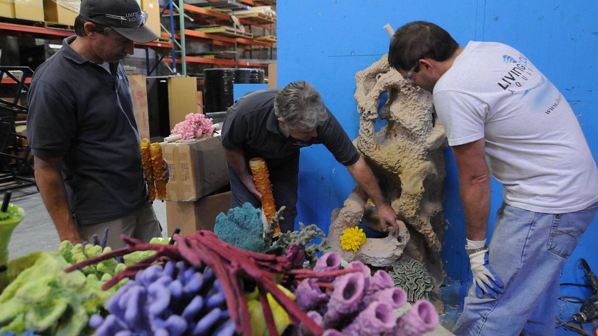 fish tank kings - gigantische wasserwelten