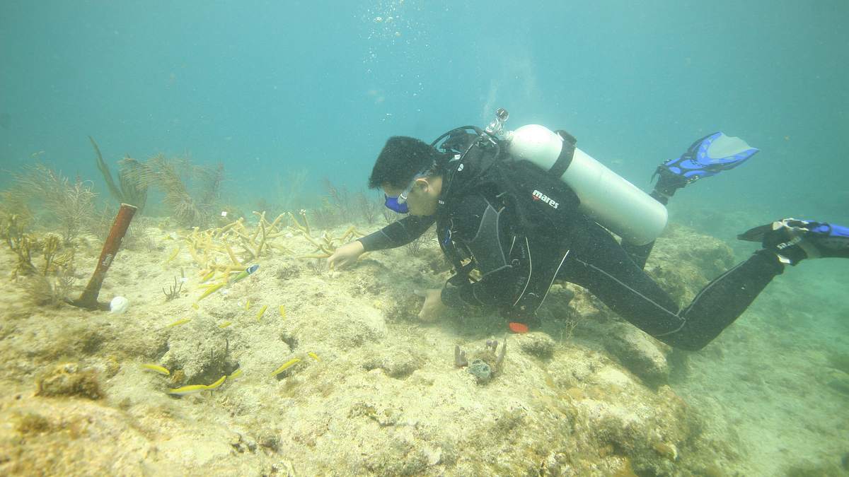 fish tank kings - gigantische wasserwelten