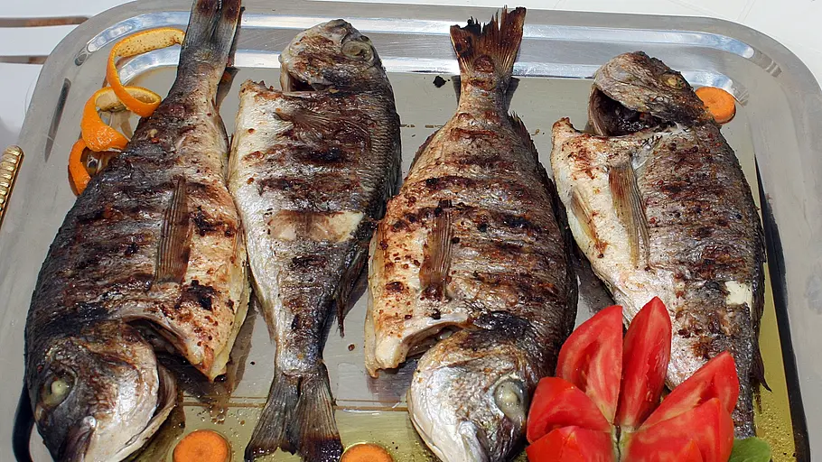 meine Familie & ich tv Gastspiel meine familie & ich tv gastspiel