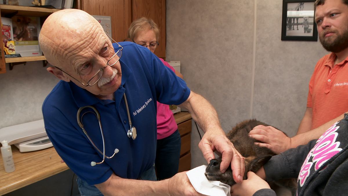 der unglaubliche dr. pol