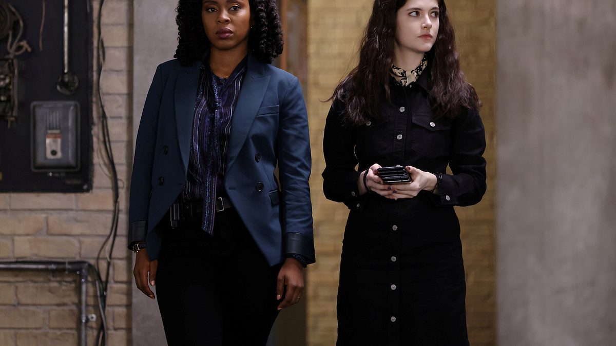 law & order: organized crime
