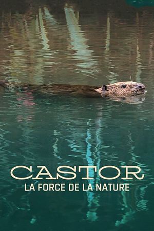 Castor, la force de la nature - Foto: TMDB