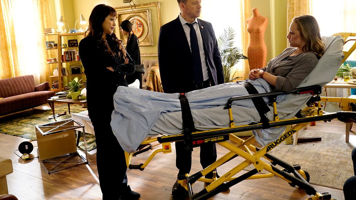 blue bloods - crime scene new york