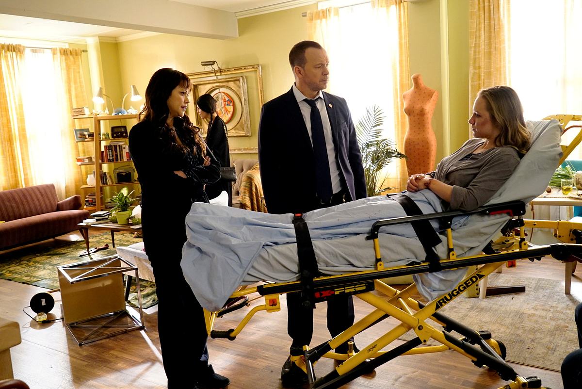 blue bloods - crime scene new york