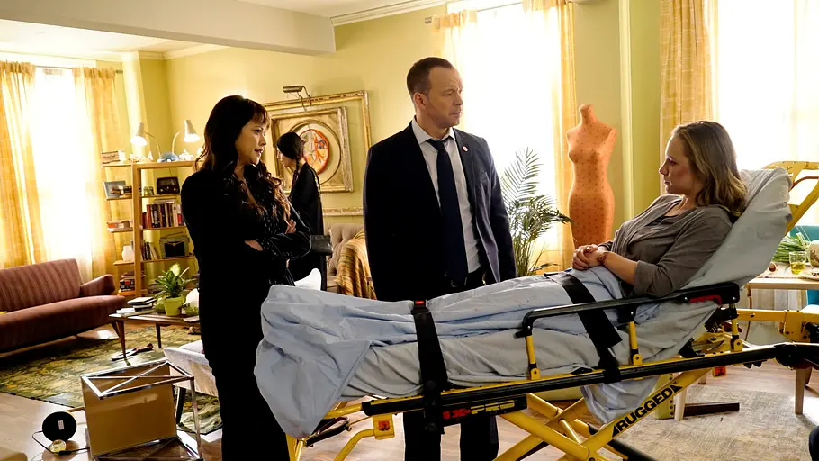 Blue Bloods blue bloods