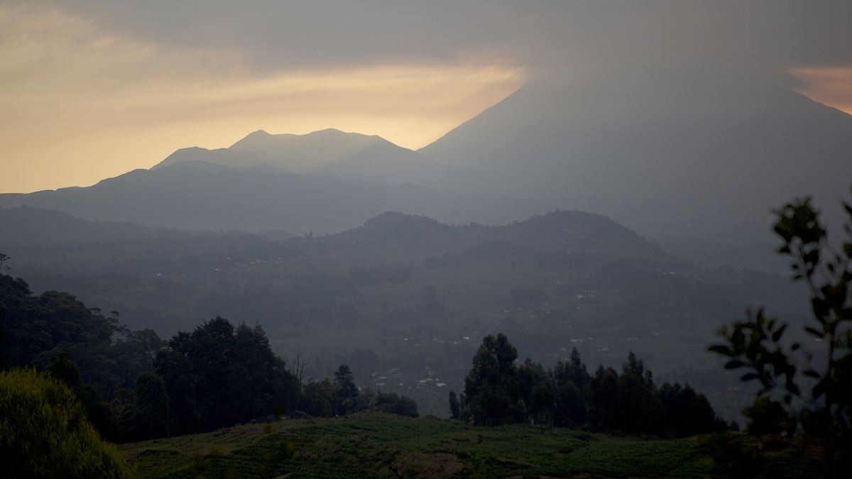 dian fossey: geheimnisse im nebel