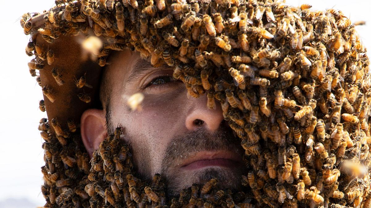 Faszinierende Tierwelt mit Coyote Peterson faszinierende tierwelt mit coyote peterson