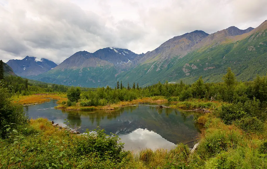 Haus gesucht in Alaska haus gesucht in alaska