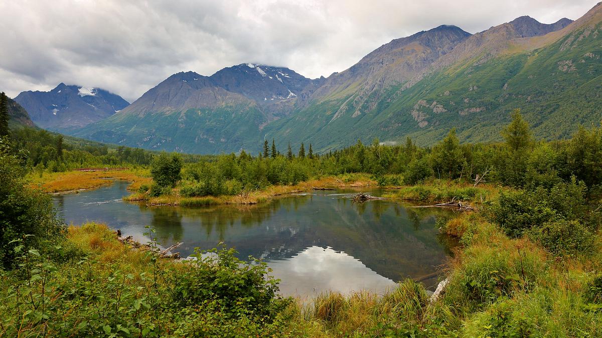 haus gesucht in alaska