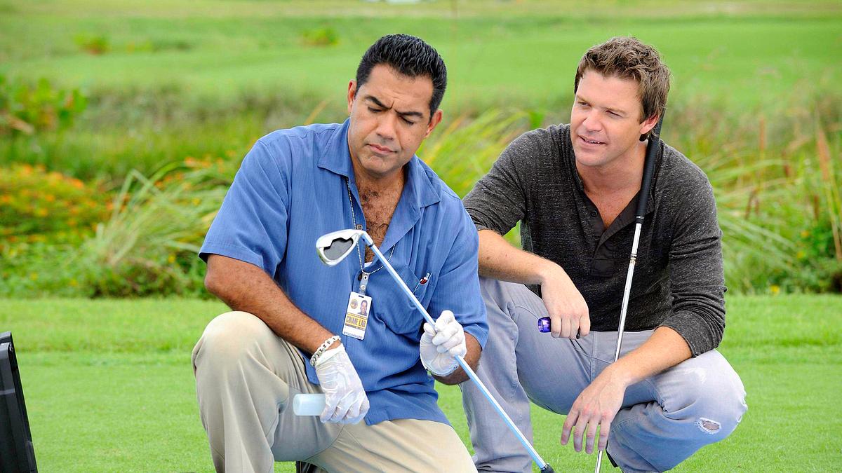 the glades