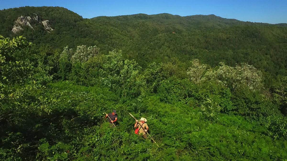 das survival-duo: zwei männer, ein ziel