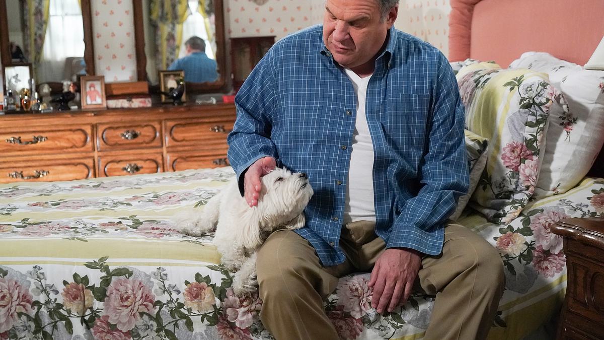 the goldbergs