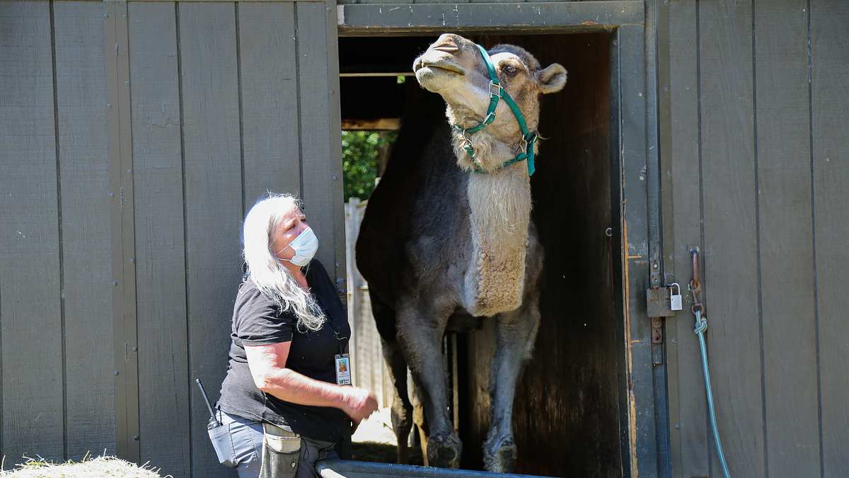 bronx zoo - tierpark der superlative