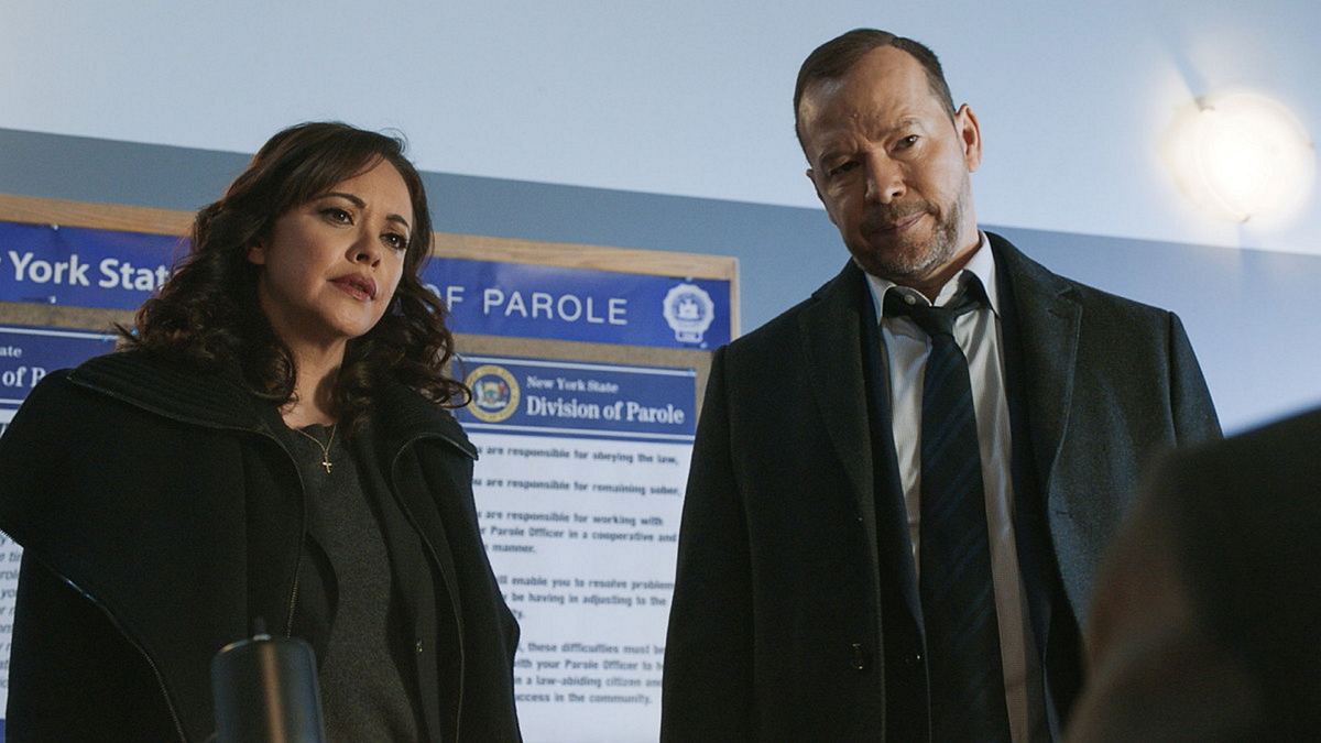blue bloods - crime scene new york