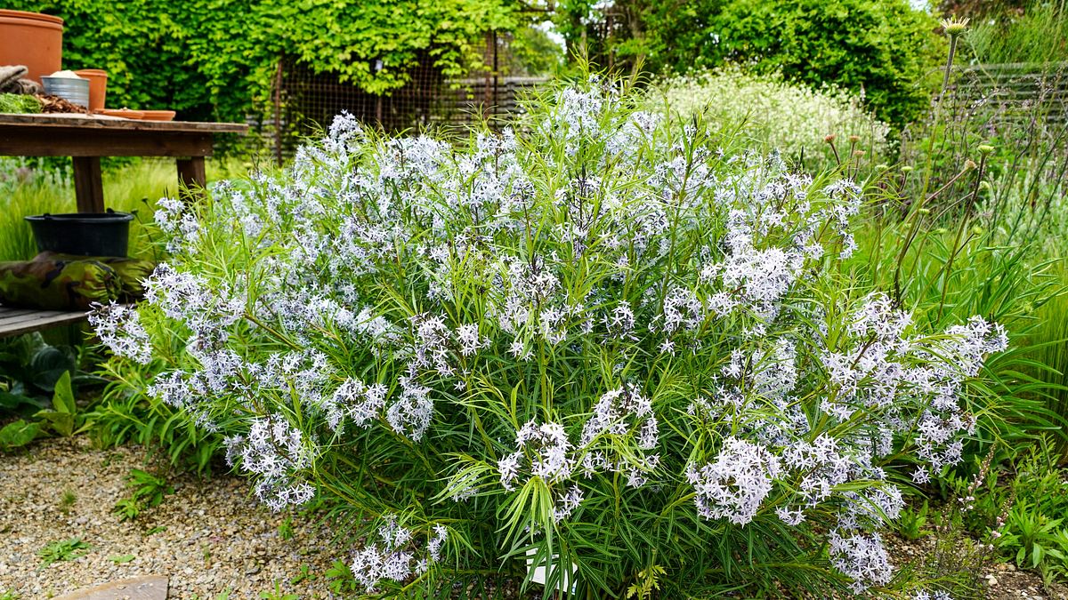 natur im garten