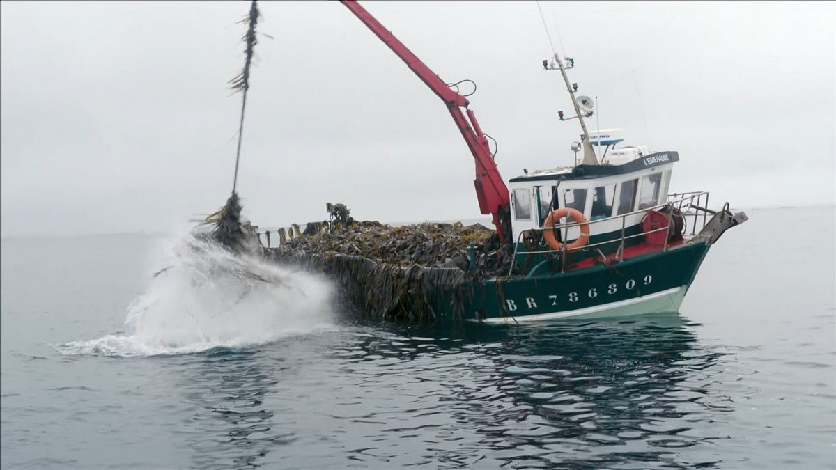 maritimes erbe