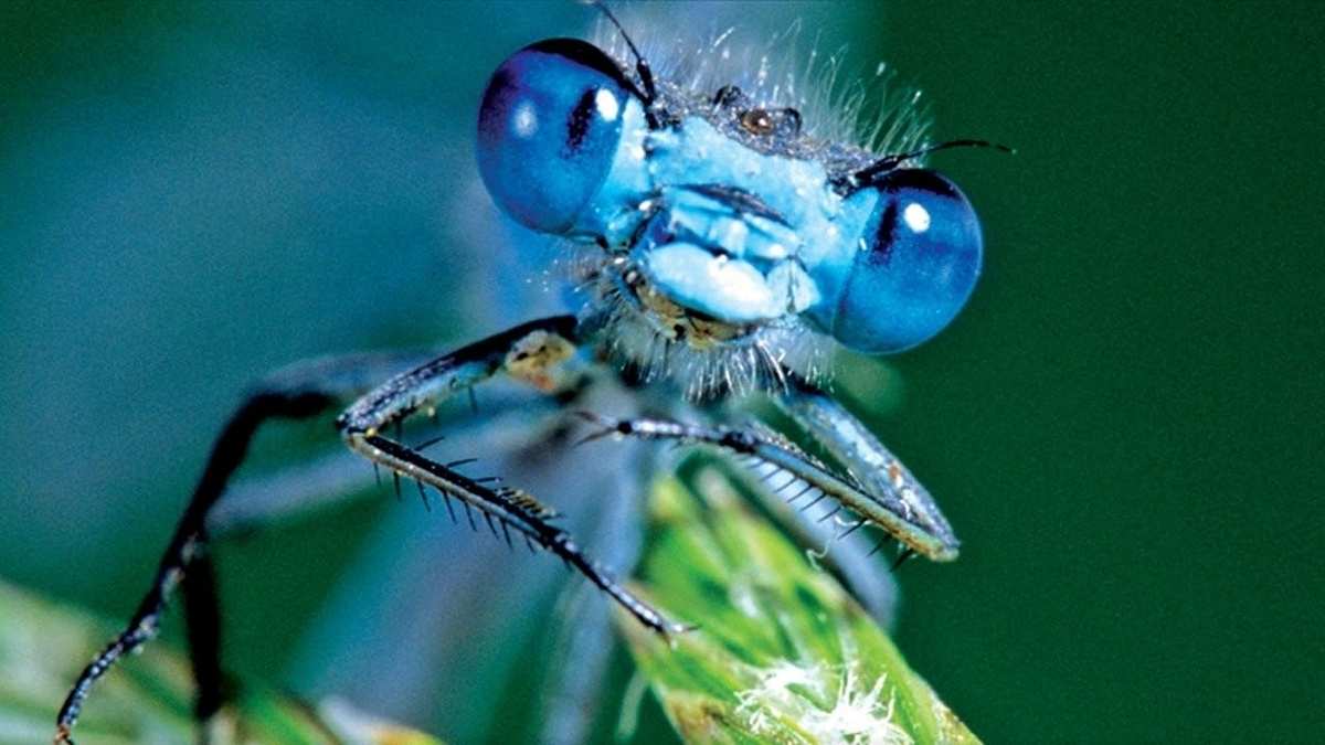 Verborgene Welten Verborgene Welten