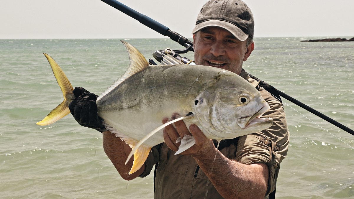 Giganten unter Wasser - Riesenfischen auf der Spur giganten unter wasser - riesenfischen auf der spur