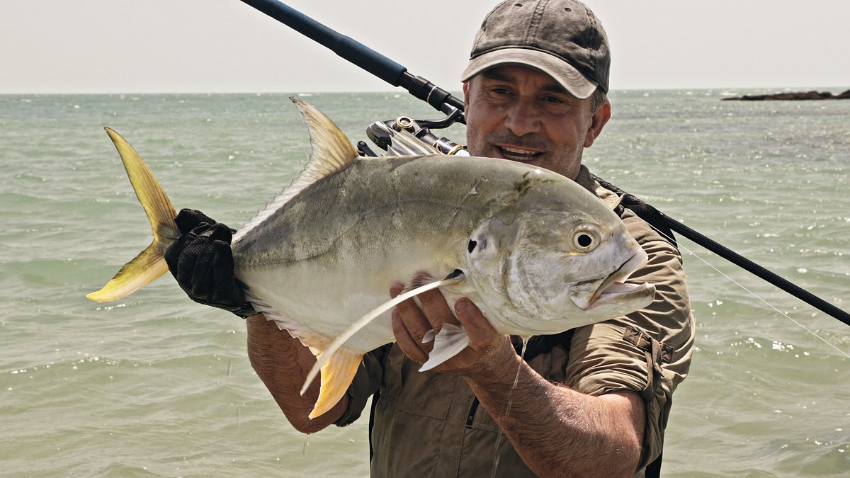 giganten unter wasser - riesenfischen auf der spur