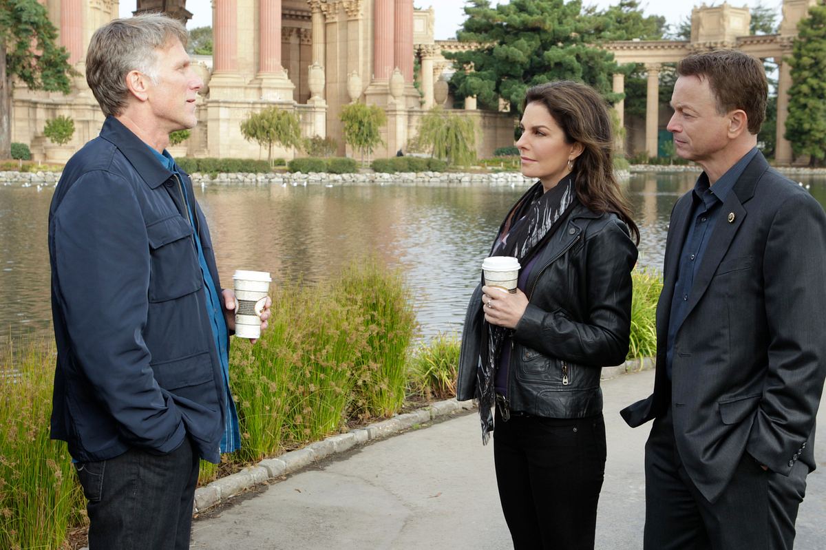 CSI: NY csi: ny