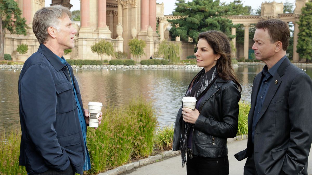 csi: ny