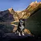 Schweizer Hundegeschichten Thumbnail