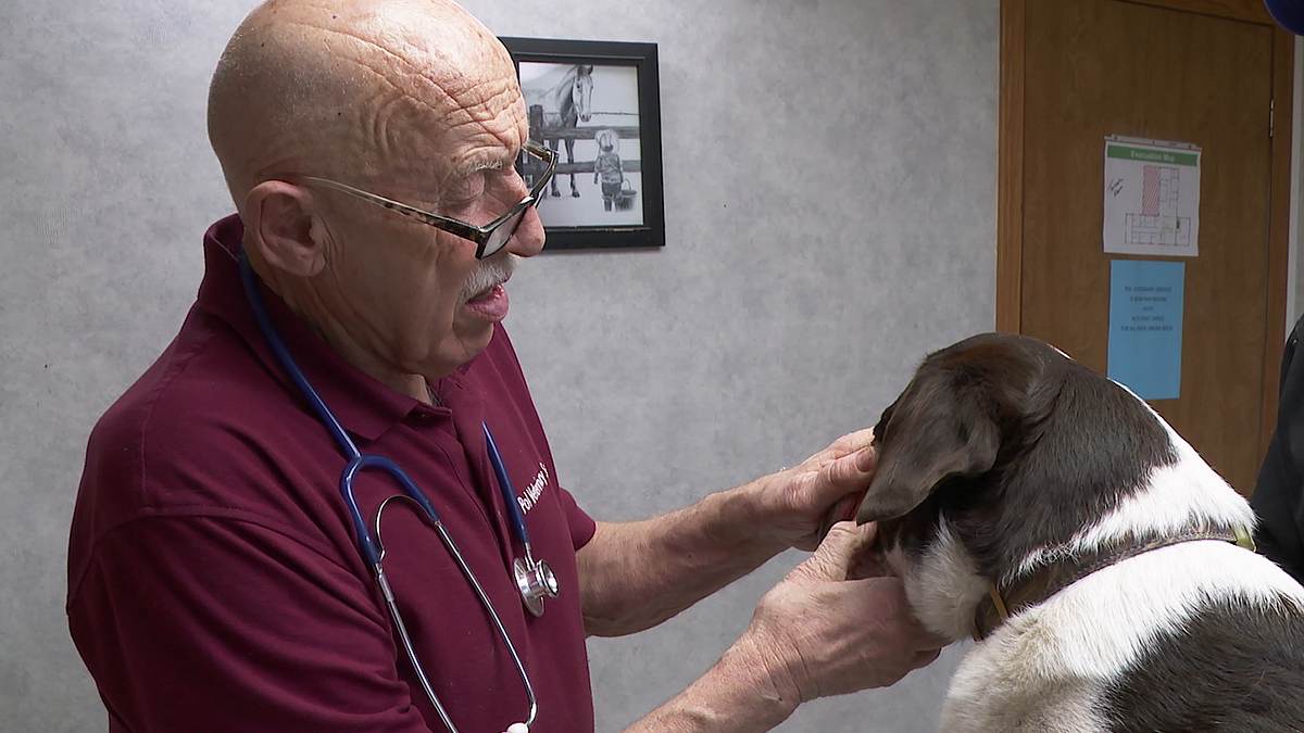 der unglaubliche dr. pol