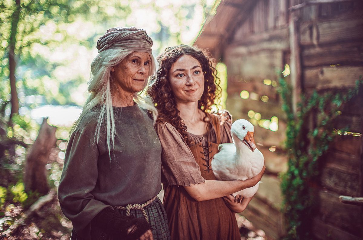 Die Gänseprinzessin die gänseprinzessin