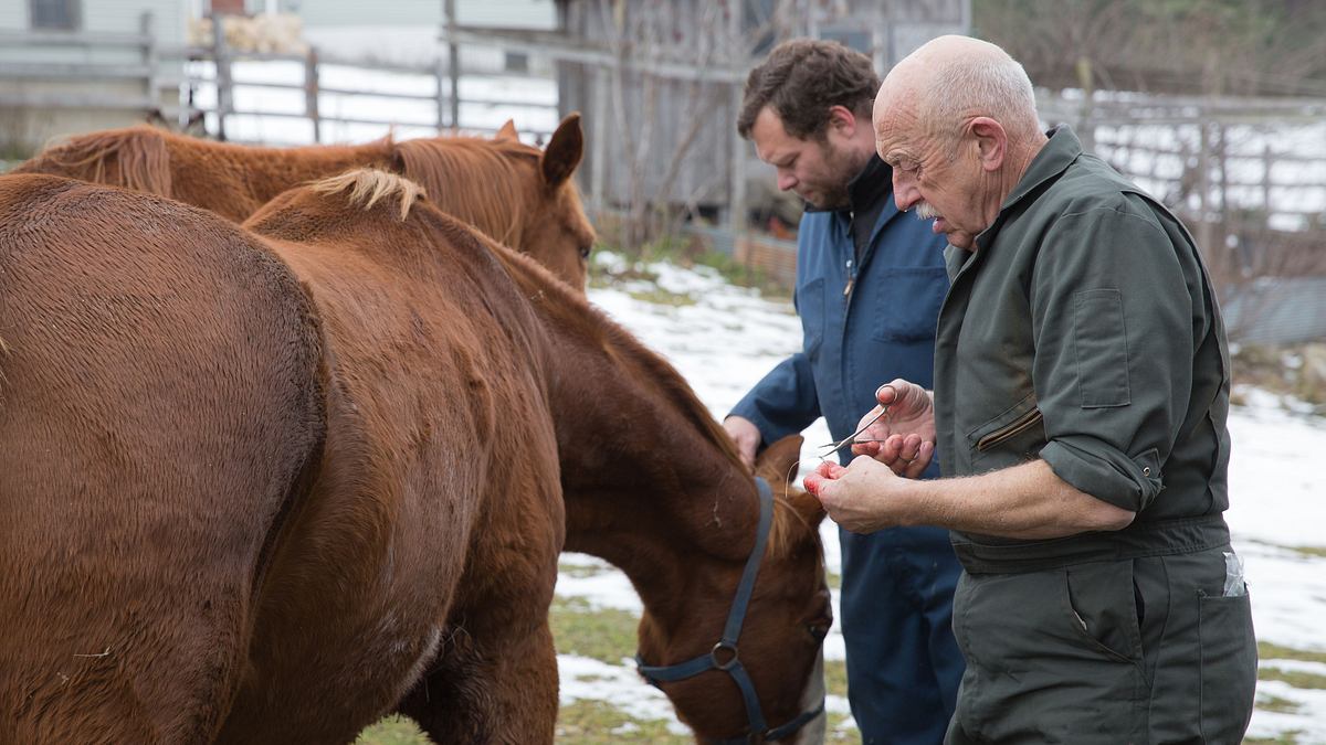 der unglaubliche dr. pol