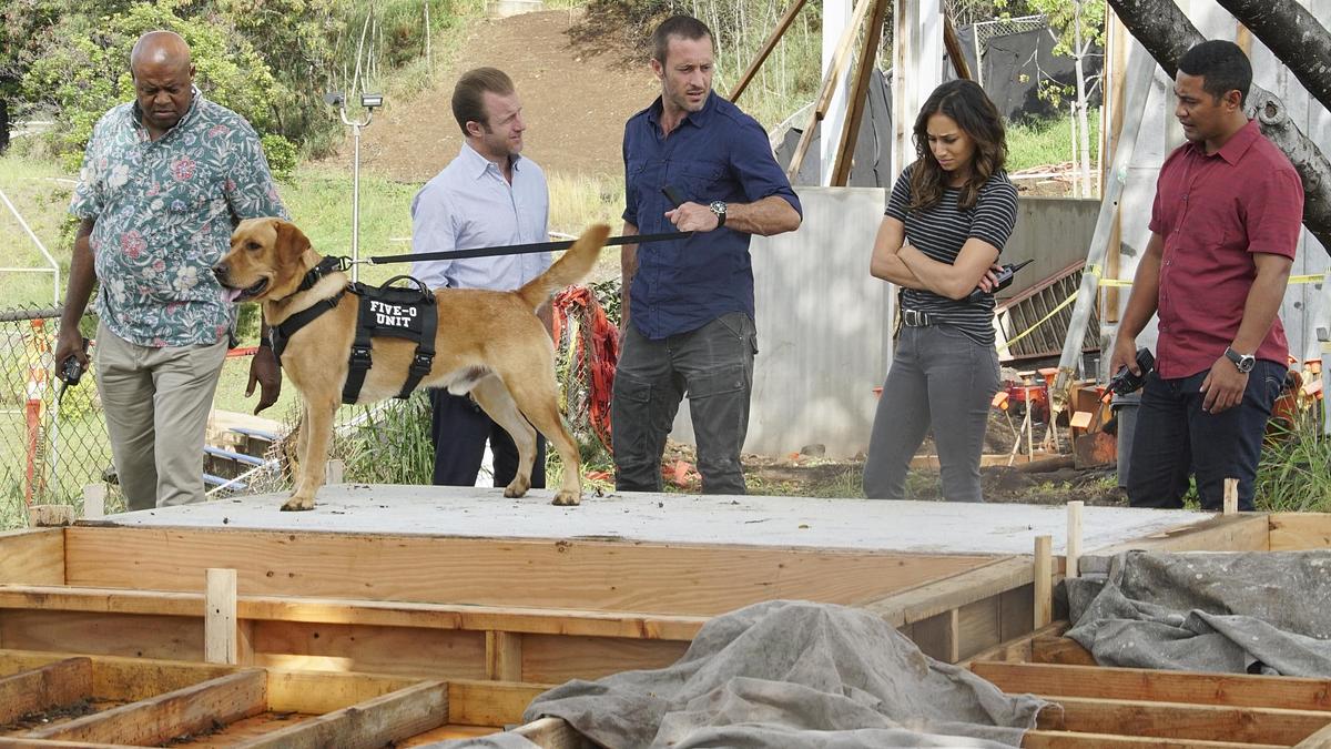 hawaii five-0